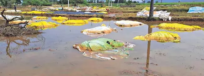 Telangana: राज्य भर में कई जगहों पर भारी बारिश हुई Telangana: राज्य भर में कई जगहों पर भारी बारिश हुई