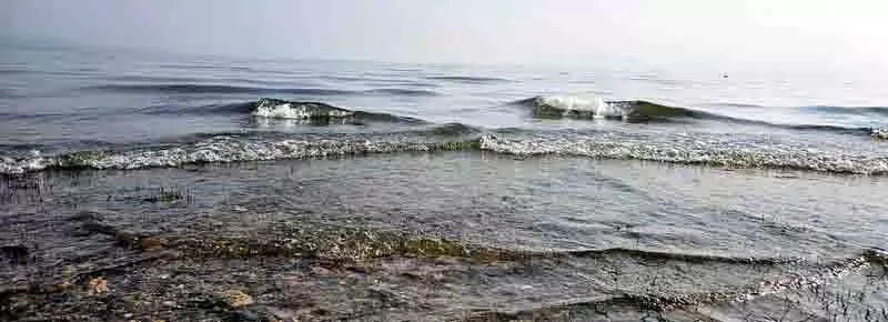 Bathu की लड़ी में प्रवेश शुल्क से आक्रोश भड़का Bathu की लड़ी में प्रवेश शुल्क से आक्रोश भड़का