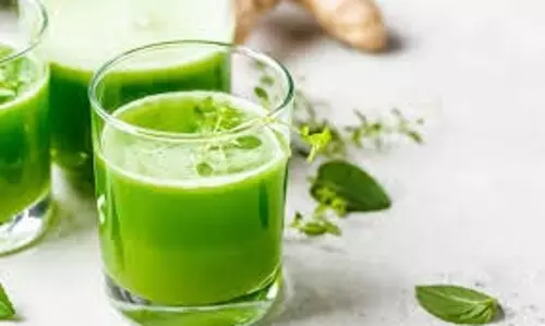 Health: मधुमेह को नियंत्रित करने वाले ये ग्रीन जूसअपने आहार में शामिल करें Health: मधुमेह को नियंत्रित करने वाले ये ग्रीन जूसअपने आहार में शामिल करें