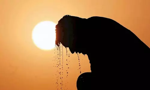 गर्मी करेगी बेहाल, 42 डिग्री पहुंचेगा पारा; अलर्ट जारी