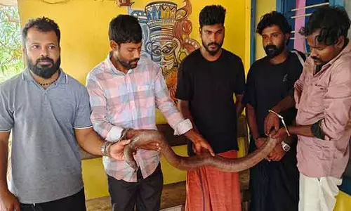 Kannur में दो-पंजे वाला सैंड बोआ अवैध रूप से रखने के आरोप में पांच लोग गिरफ्तार
