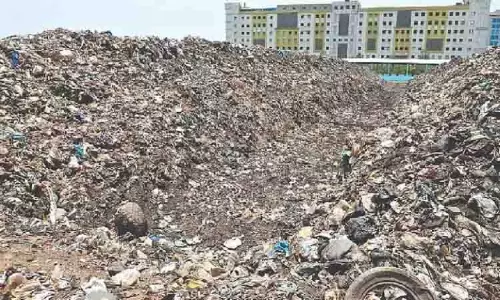 Tambaram निवासियों ने भस्मक संयंत्र को नकार दिया
