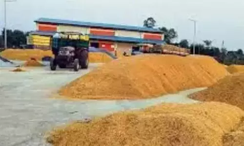 निजामाबाद में धान खरीद के लिए PACS और SHG एक दूसरे से प्रतिस्पर्धा कर रहे