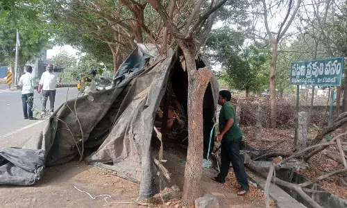 Velugumatla अर्बन पार्क में भीषण आग से कई पेड़ जलकर खाक हो गए