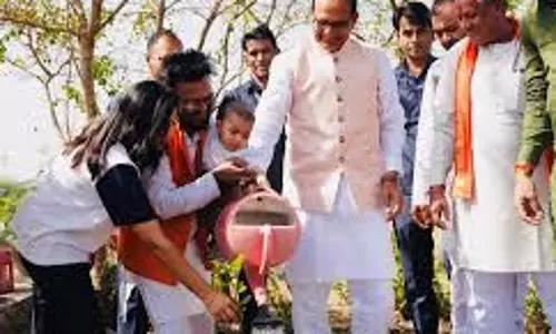 Bhopal: केंद्रीय मंत्री शिवराज सिंह चौहान ने स्मार्ट सिटी पार्क में लगाए पौधे