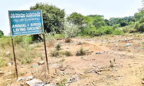 Andhra: जानवरों और पक्षियों के लिए कब्रिस्तान