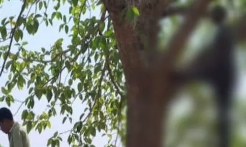 दोस्त की मौत का लगा सदमा, युवक ने दुःख में दुनिया से ले लिया अलविदा