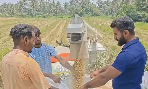 Nuvem के किसानों ने परित्यक्त धान के खेतों को पुनर्जीवित करने के बाद सफल फसल का जश्न मनाया