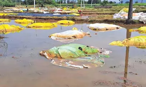 Telangana: राज्य भर में कई जगहों पर भारी बारिश हुई