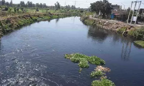 6 MLD अपशिष्ट जल अभी भी बुद्ध नाले में बह रहा