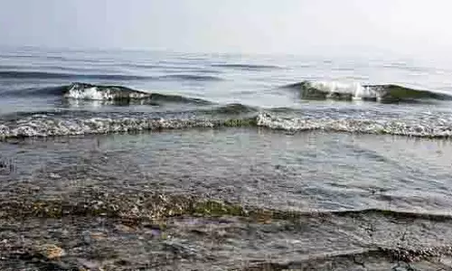 Bathu की लड़ी में प्रवेश शुल्क से आक्रोश भड़का Bathu की लड़ी में प्रवेश शुल्क से आक्रोश भड़का