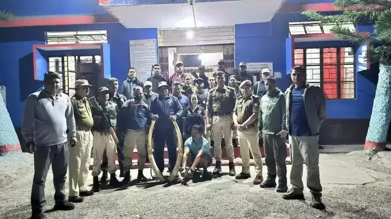 Assam के कुख्यात वन्यजीव तस्कर को पश्चिम बंगाल में गिरोह सहित दोषी ठहराया गया