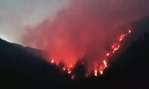 जंगल की आग फैलने से Kashmir की हरित रक्षा पंक्ति खतरे में