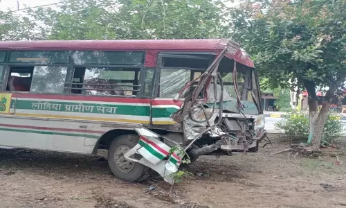 Sitapur में डीसीएम ने रोडवेज बस को मारी टक्कर, बुजुर्ग घायल, पालतू की जान गई