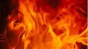 Up News: पत्ते जलाने के लिए लगाई गई आग ने मचाई तबाही Up News: पत्ते जलाने के लिए लगाई गई आग ने मचाई तबाही