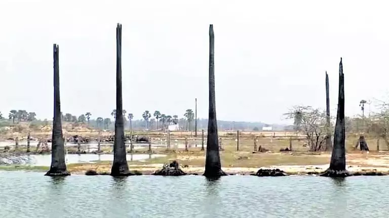अवैध जल तालाबों को ध्वस्त करने में देरी से Andhra के कोनासीमा में कृषि बर्बाद अवैध जल तालाबों को ध्वस्त करने में देरी से Andhra के कोनासीमा में कृषि बर्बाद