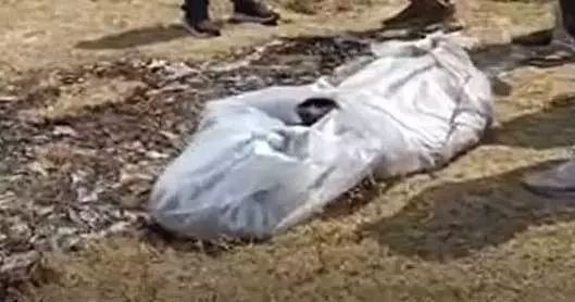 भिलाई में अधजली लाश मिलने से फैली सनसनी, जांच में होंगे कई बड़े खुलासे भिलाई में अधजली लाश मिलने से फैली सनसनी, जांच में होंगे कई बड़े खुलासे