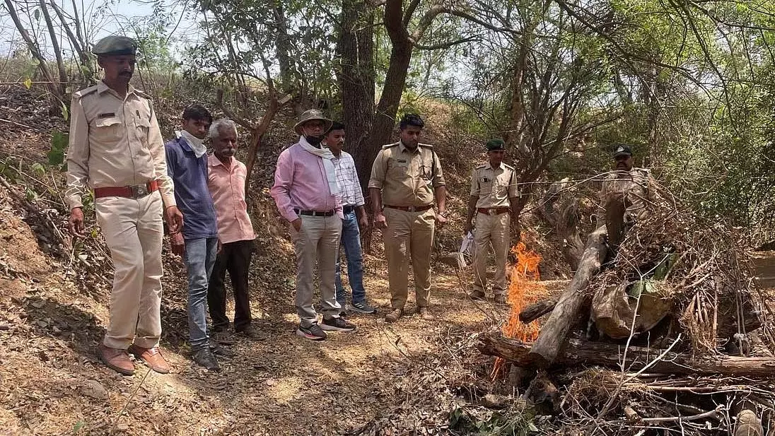 तेंदुए का शिकार; झाड़ियों में फंसा मिला शव, पैर और शरीर के अंग गायब तेंदुए का शिकार; झाड़ियों में फंसा मिला शव, पैर और शरीर के अंग गायब