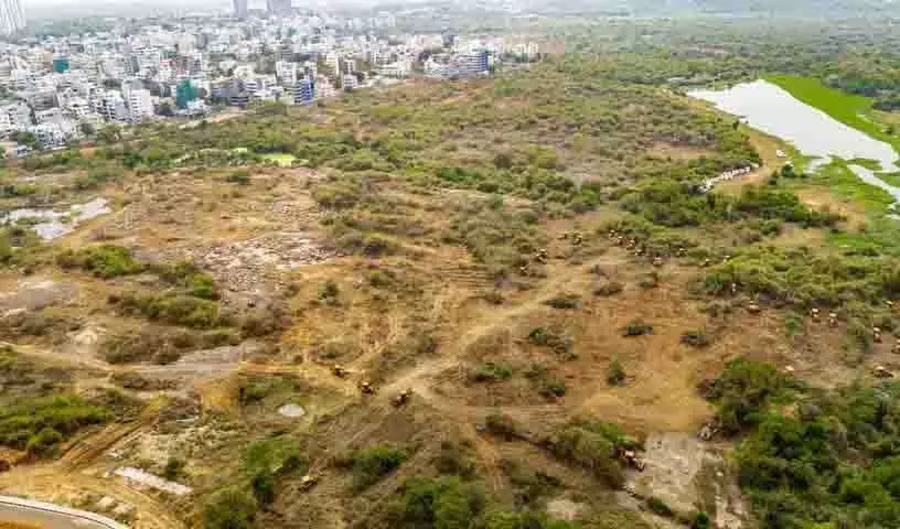 Hyderabad विश्वविद्यालय का अरब स्प्रिंग क्षण Hyderabad विश्वविद्यालय का अरब स्प्रिंग क्षण