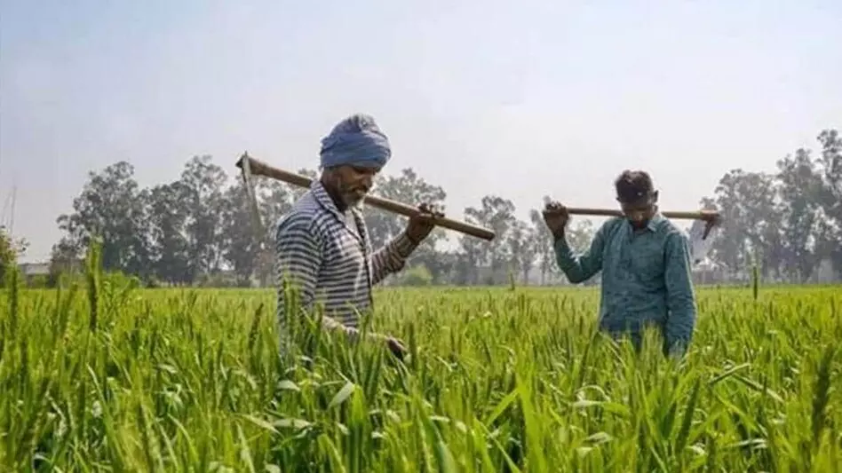 Baran जिले में किसानों को राहत, अब दो बीघा वाले भी ले सकेंगे योजना का फायदा Baran जिले में किसानों को राहत, अब दो बीघा वाले भी ले सकेंगे योजना का फायदा