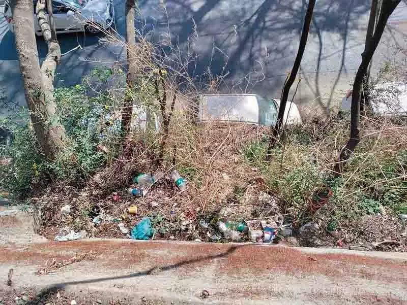 Shimla के खुले इलाकों में फेंकी गई प्लास्टिक की बोतलें Shimla के खुले इलाकों में फेंकी गई प्लास्टिक की बोतलें