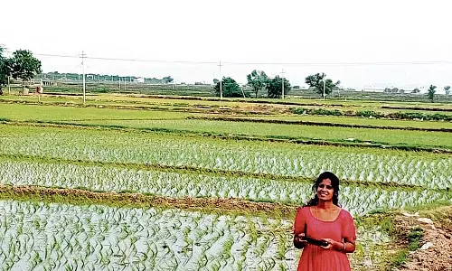 नमो ड्रोन दीदी परियोजना: 12 भागीदारों को लाइसेंस मिले
