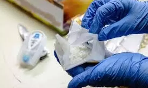 Punjab : अवैध गोदाम का भंडाफोड़, दवाओं की बड़ी खेप जब्त