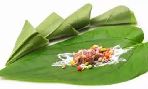 Betel Leaves Remedies: काम में आने वाली रुकावटों को दूर करता है पान का पत्ता, जानें क्या है सही उपाय