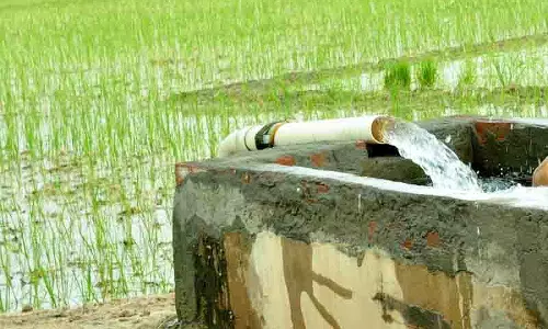 Punjab: असमय धान की रोपाई से जल संकट बढ़ने की आशंका