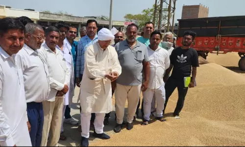 Haryana : सांपला में अधिक नमी के कारण गेहूं की खरीद में बाधा Haryana : सांपला में अधिक नमी के कारण गेहूं की खरीद में बाधा