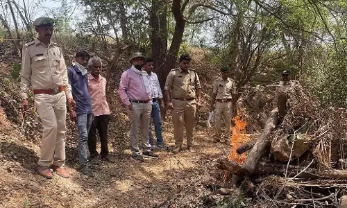 तेंदुए का शिकार; झाड़ियों में फंसा मिला शव, पैर और शरीर के अंग गायब