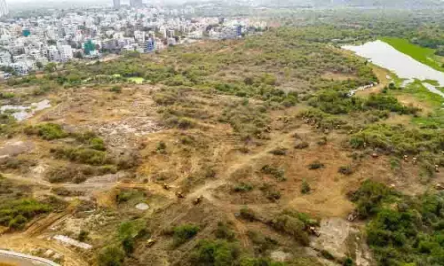 Hyderabad विश्वविद्यालय का अरब स्प्रिंग क्षण Hyderabad विश्वविद्यालय का अरब स्प्रिंग क्षण