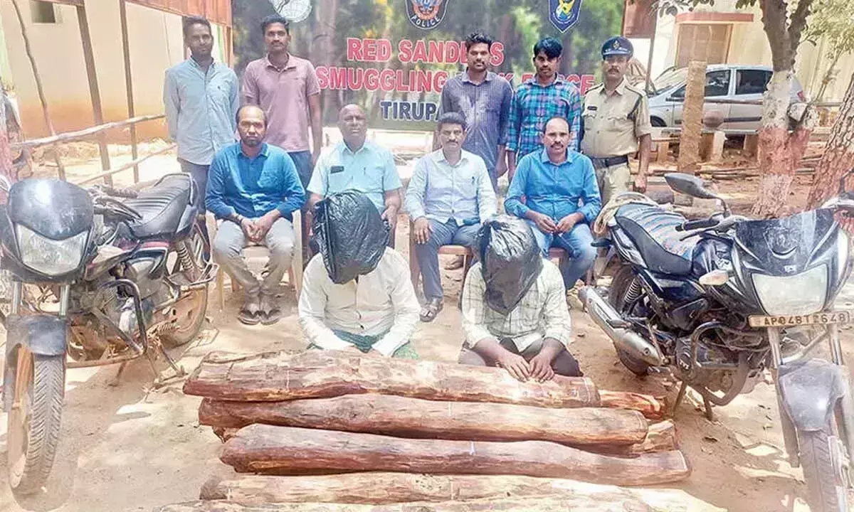 Andhra: 2 लाल चंदन तस्कर गिरफ्तार Andhra: 2 लाल चंदन तस्कर गिरफ्तार