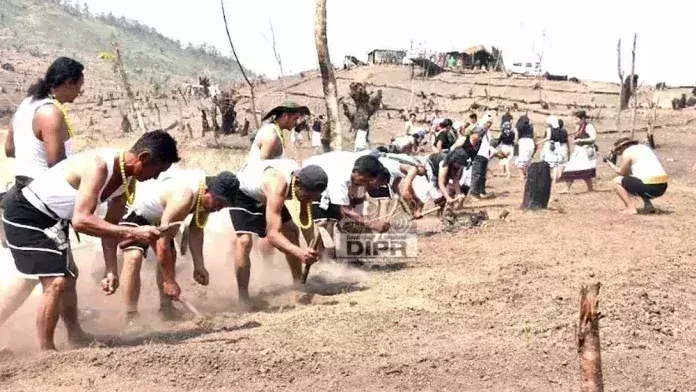 Nagaland : लिडा पेली ने पारंपरिक धान की बुवाई में भाग लिया