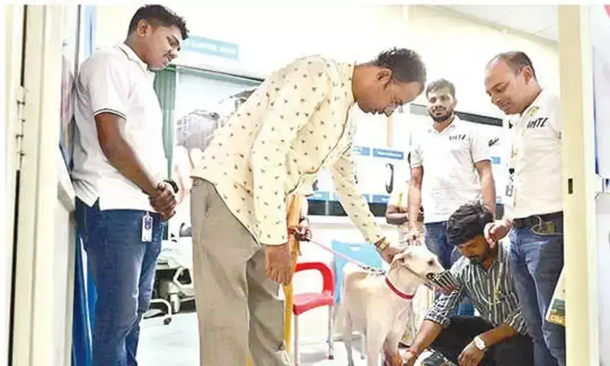 AMTZ ने पहली बार पालतू जानवर के लिए कृत्रिम अंग लगाने का काम पूरा किया