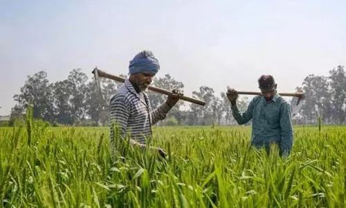 Baran जिले में किसानों को राहत, अब दो बीघा वाले भी ले सकेंगे योजना का फायदा
