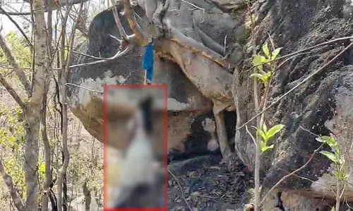 CG: शादी से पहले युवती ने खुदकुशी, परिजनों में मचा कोहराम
