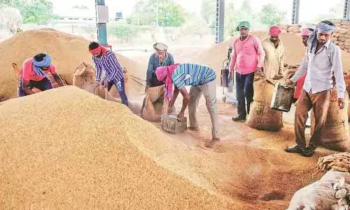 Telangana के धान किसानों को फसल कटाई के दौरान कीमतों में गिरावट से जूझना पड़ रहा