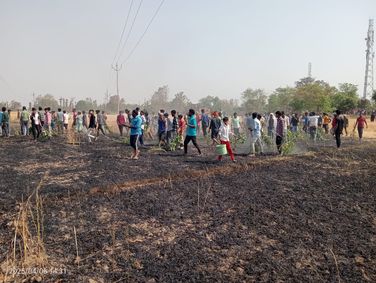 शॉर्ट सर्किट से लगी आग ने ली विकराल रूप, 17 किसानों की 12 बीघा गेहूं की फसल जलकर राख