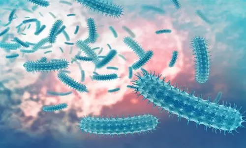 SCIENCE: यह आंत बैक्टीरिया स्वास्थ्य के लिए है महत्वपूर्ण, जाने इसके बारे में