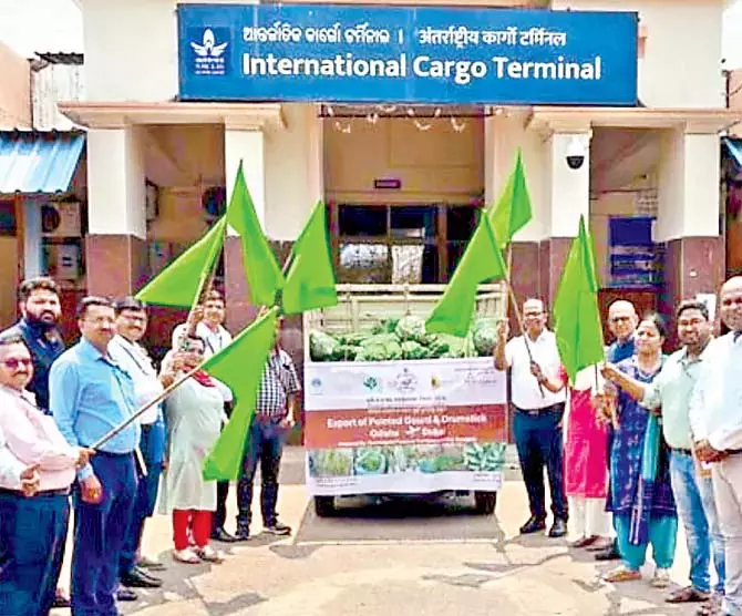 Odisha: जिले से 910 किलोग्राम मुनगा और पोटल्स सब्जियां दुबई निर्यात की गई Odisha: जिले से 910 किलोग्राम मुनगा और पोटल्स सब्जियां दुबई निर्यात की गई