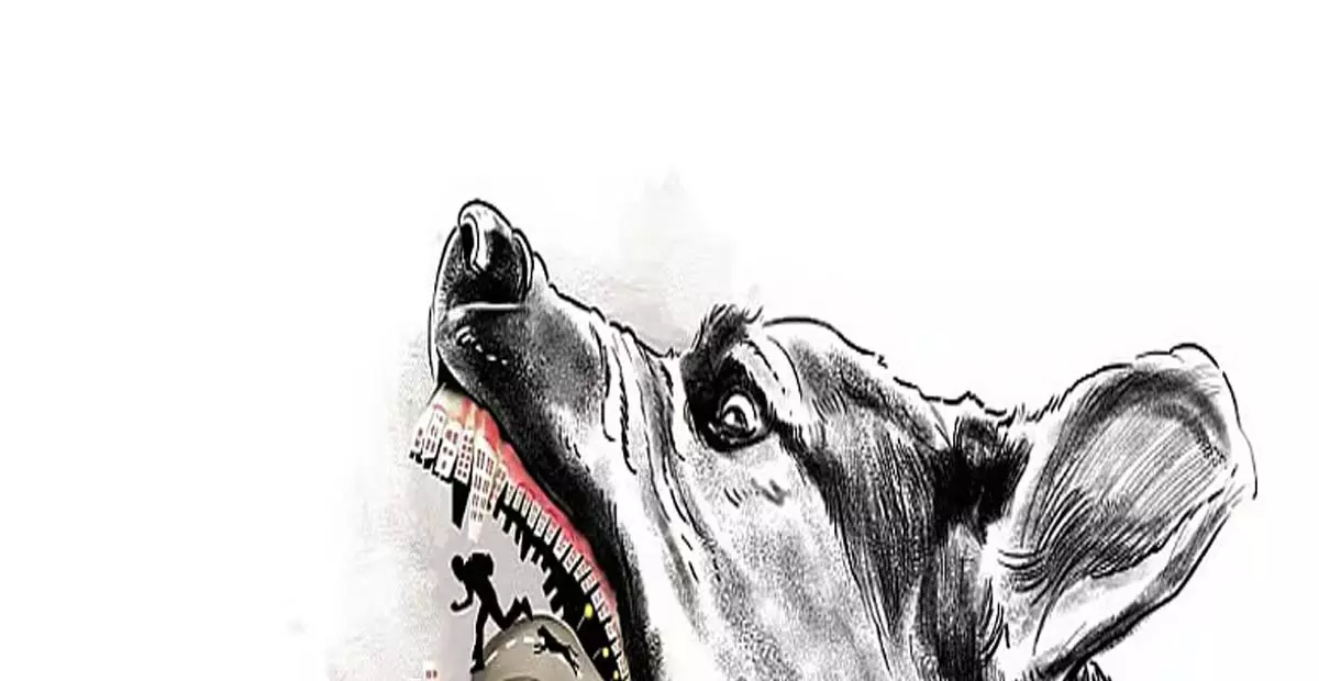 Andhra: आंध्र प्रदेश में आवारा कुत्तों के हमले में चार साल के बच्चे की मौत Andhra: आंध्र प्रदेश में आवारा कुत्तों के हमले में चार साल के बच्चे की मौत