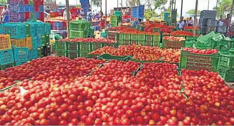 कम मांग और अधिक आपूर्ति से Chittoor के टमाटर उत्पादक प्रभावित कम मांग और अधिक आपूर्ति से Chittoor के टमाटर उत्पादक प्रभावित