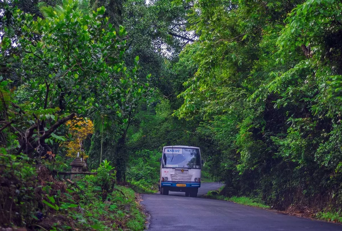 Kerala: राज्य राजमार्ग खतरों से भरा Kerala: राज्य राजमार्ग खतरों से भरा