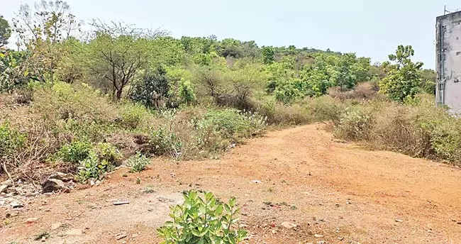 Andhra: राज्य सरकार विशाखापत्तनम की प्रतिष्ठा बढ़ाने के लिए योजना तैयार कर रही Andhra: राज्य सरकार विशाखापत्तनम की प्रतिष्ठा बढ़ाने के लिए योजना तैयार कर रही