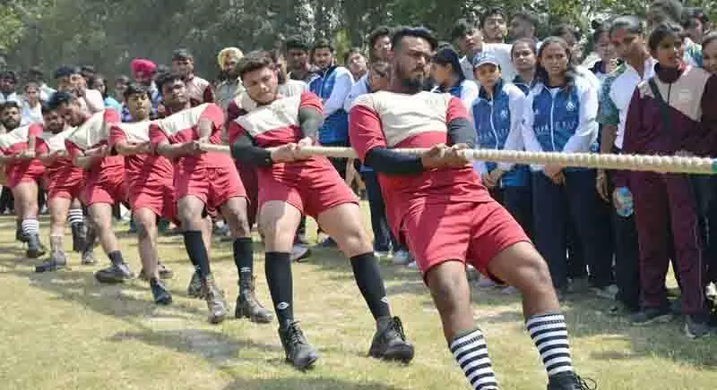 Lamarin University में रस्साकशी चैंपियनशिप शुरू हुई Lamarin University में रस्साकशी चैंपियनशिप शुरू हुई