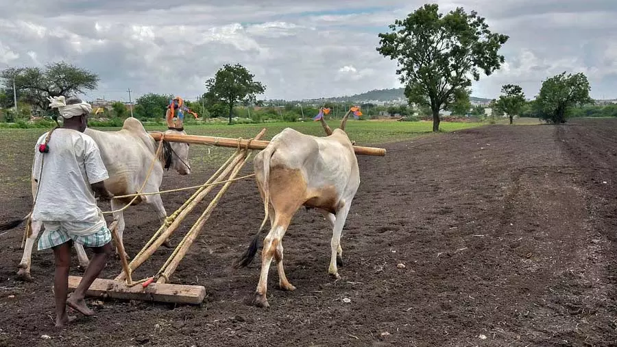 Karnataka के किसानों ने किसान-उत्पादक संगठनों के महासंघ में मुद्दों को उजागर किया Karnataka के किसानों ने किसान-उत्पादक संगठनों के महासंघ में मुद्दों को उजागर किया