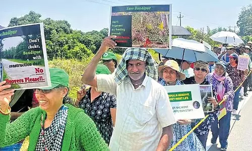 Karnataka: बांदीपुर अभ्यारण्य में रात्रि यात्रा प्रतिबंध हटाने के खिलाफ ग्रीन्स रैली