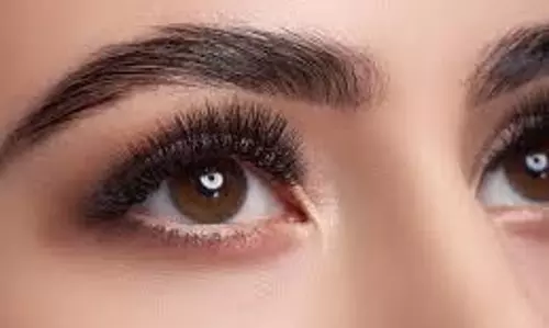 Eyebrow Growth Tips: पतली आइब्रो को मोटा बनाने के लिए अपनाएं ये घरेलू उपाय