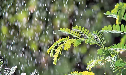 Odisha: बंगाल की खाड़ी के ऊपर कम दबाव की संभावना Odisha: बंगाल की खाड़ी के ऊपर कम दबाव की संभावना
